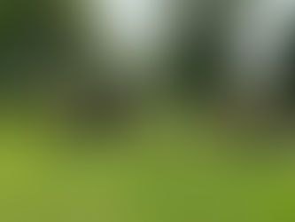 HSCDSB Special Education Staff share $148,897.50 win