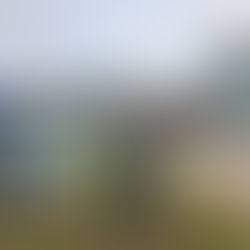 Fern wins $253,575 in October SAHF 50/50 Draw