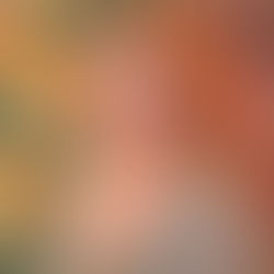 “I’ve never experienced care like this, anywhere.”