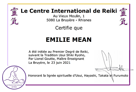 Certificat reiki 1er degré.PNG