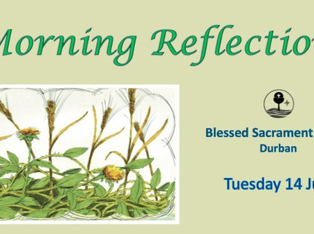 Tuesday of 15th Ordinary Week, Year A