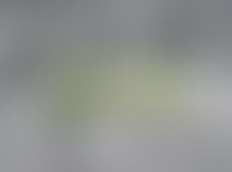 Friday of the 33rd Week Year C