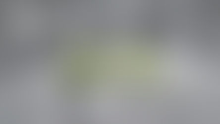 Friday of the 33rd Week Year C