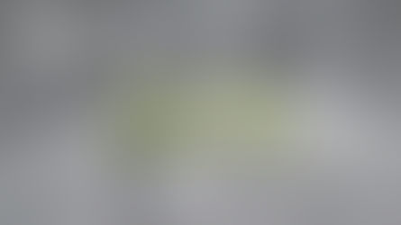 Friday of the 33rd Week Year C