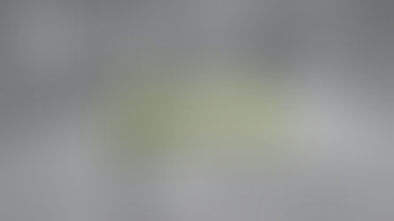 Thursday of the 33rd Week Year C