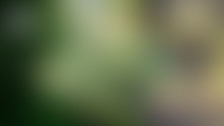 Friday of the 29th Week Year C