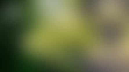 Thursday of the 29th Week Year C