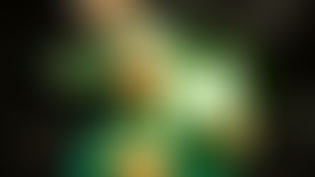 🚀 Official Launch of the MUTANT Token on LFG.KAS