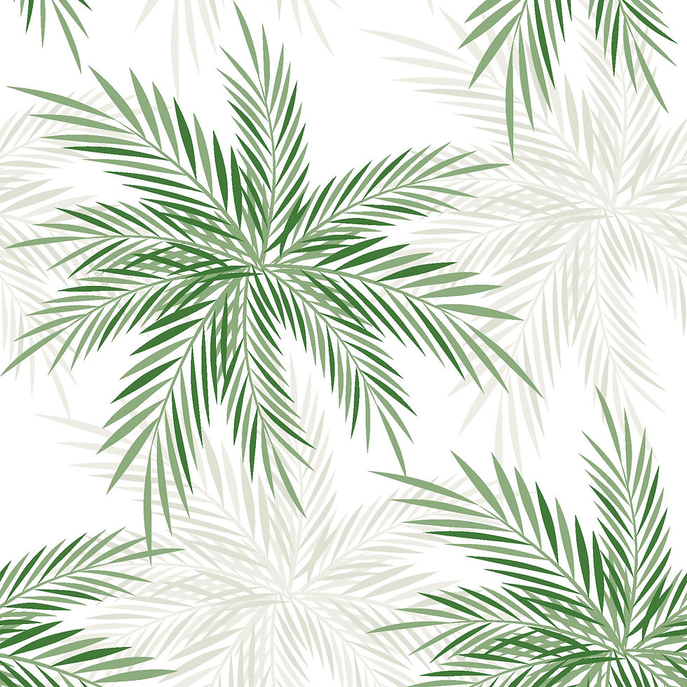 Palm