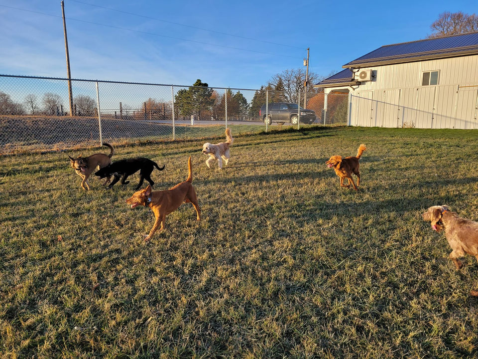 outdoorplay2.jpeg