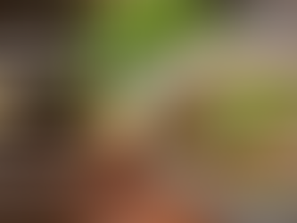 Great Bowl Of Pho