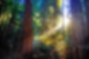 25b1a70d9899bb7883e141a24846de5d8f86f35f-14_edited.jpg
