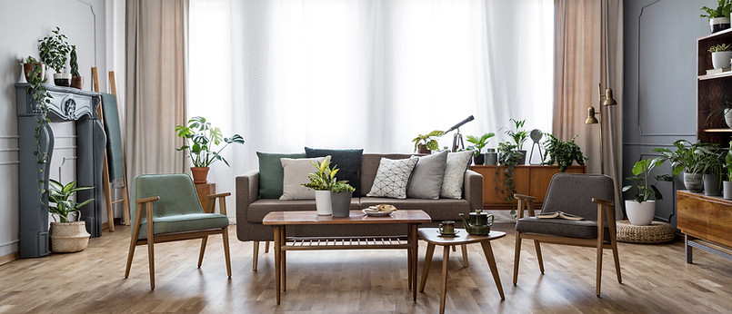Modern Living Room