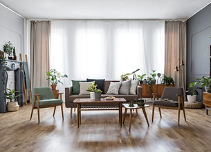 Modern Living Room