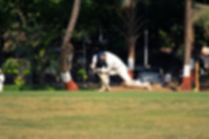 Cricket Player