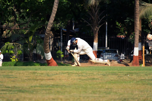 Cricket Player