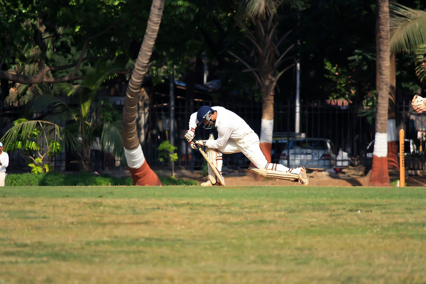 Cricket Player