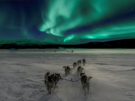 Dog sled team racing on snowy terrain under vibrant green northern lights, with dark hills in the background, creating a serene, mystical scene.