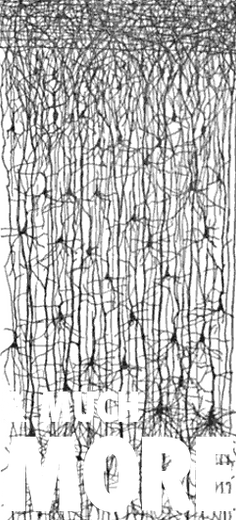 social media, webists, promotion, management, evaluation, courses