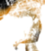 Stardust and Golden (detail)