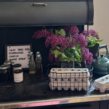 Introducing Livingstone Farm Stand