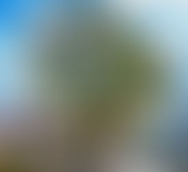 Wie gemalt - Selzen's Denkmäler