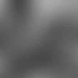 Spielplatz Wehrmachtsgespann im Hof.