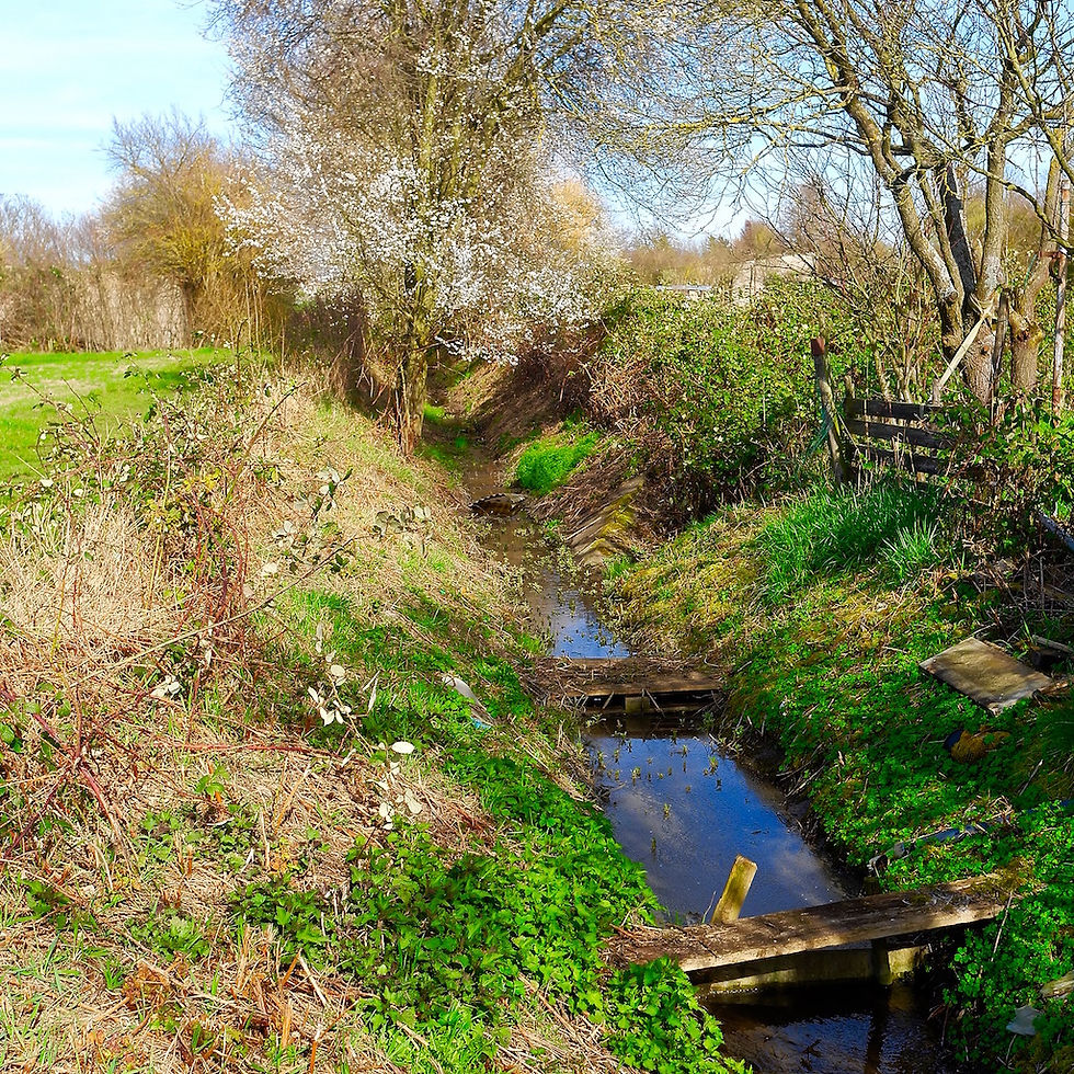 Vom Löschteich zum Rinnsal