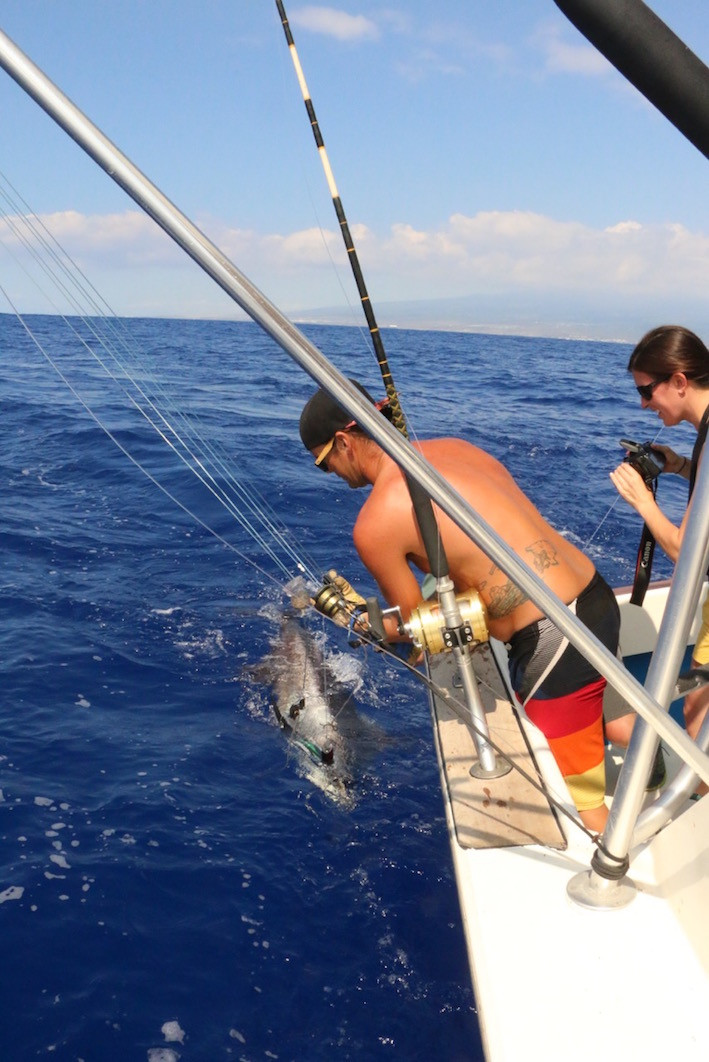 Tagged Marlin Kona