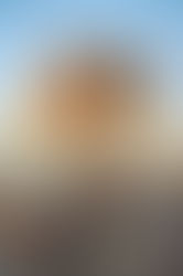 Emily & Kevin | A Wedding at Nxwhere California