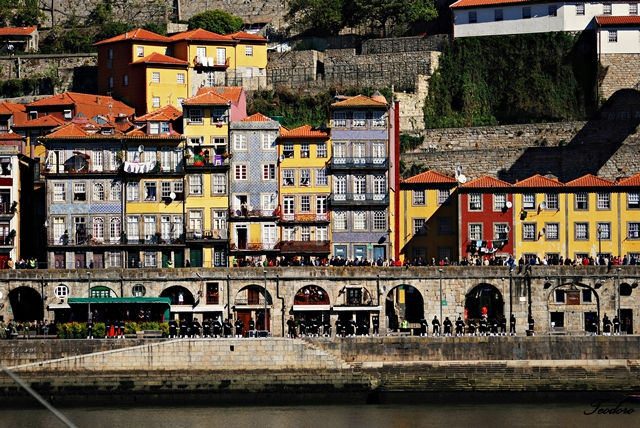 Ponte das barcas. Celebração!