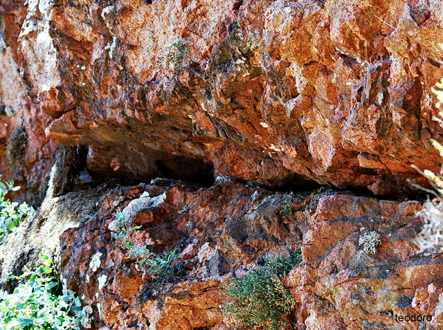 Berlenga