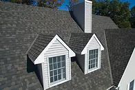 shingle roof.webp