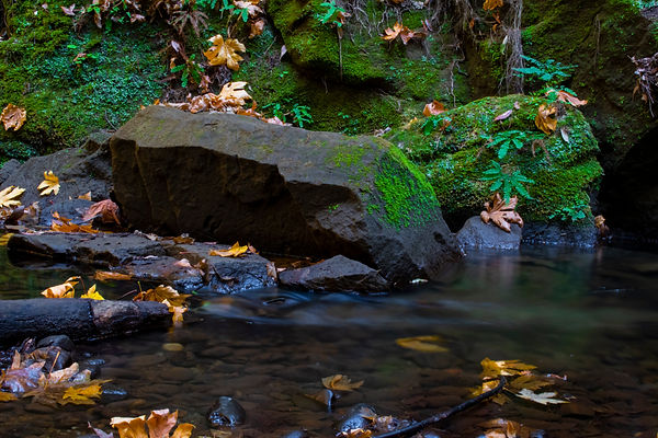 Water flowing Next to Rocks.jpg