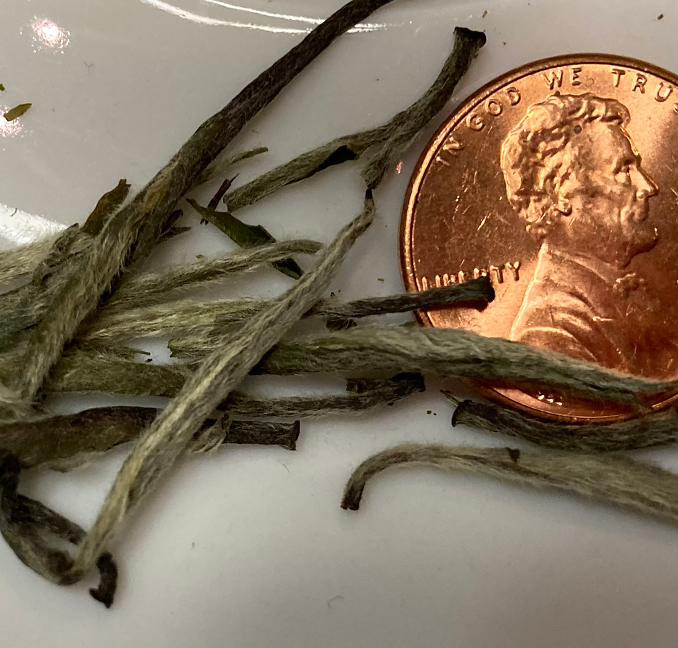 Thumbnail: Yin Zhen Organic — China