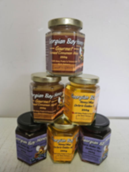 Fresh Local Blueberry, Cinnamon & Golden Honey ~ 250ml
