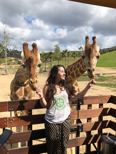 giraffe 2.jpeg
