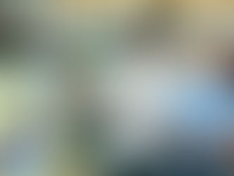 The Sugar Detective: