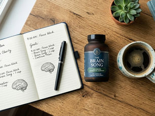 The Brain Song Review: I Tried It 30 Days – Shocking!