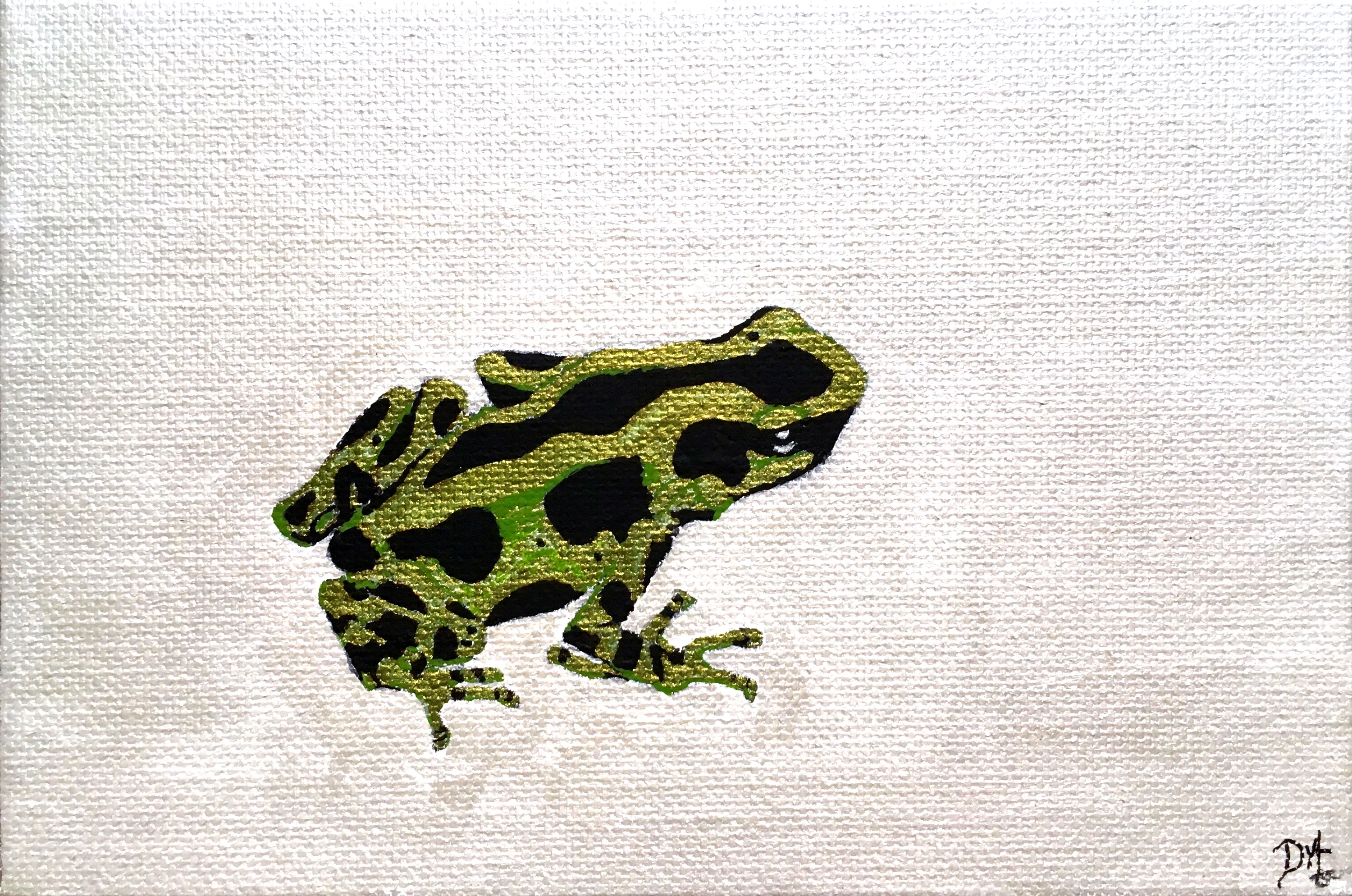 Poison Dart Frog