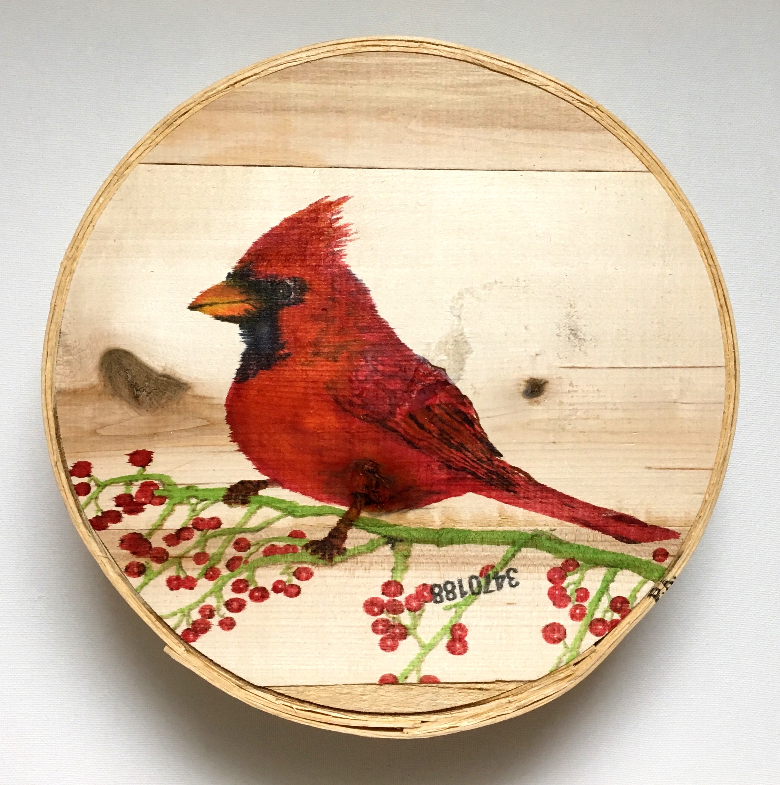 Spring Cardinal