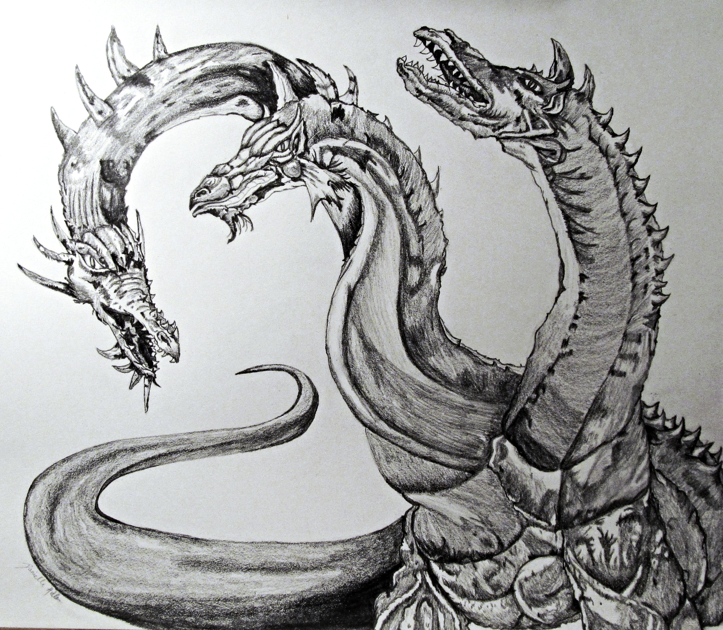 Hydra