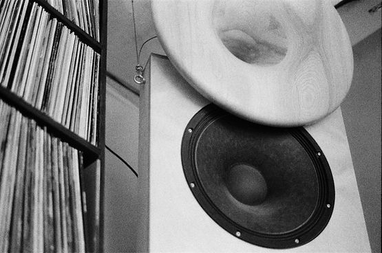 Custom-made horn speaker