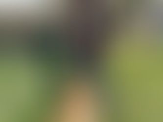 Prüfungstag für Luc und Lana