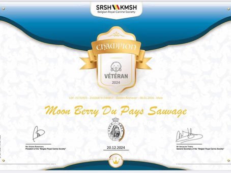 Champion Veteran - Belgien