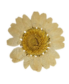 fiori