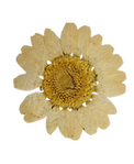 fiori