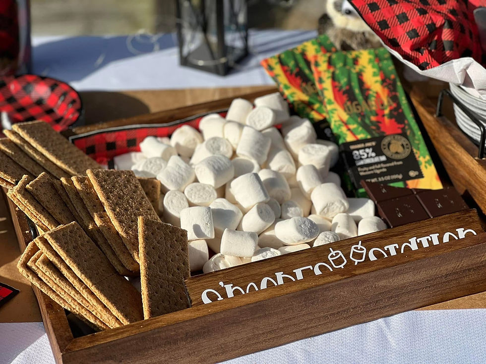 S'mores & Fireflies: POP UP Dragonfly Explorer Event