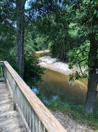 LH.creek view.jpeg