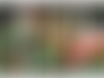 El sake, una bebida de unión con los dioses